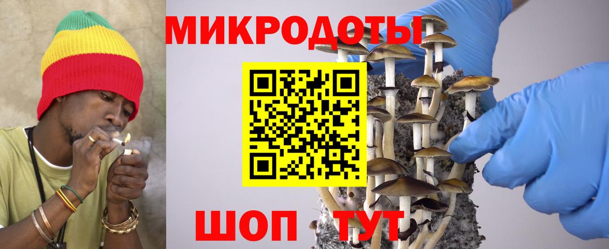 Псилоцибиновые грибы прущие грибы Губкин